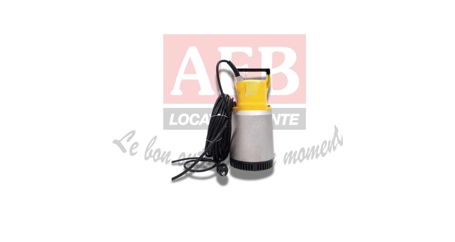 Pompe immergée 30-40 m 3 / h avec coffret 20 m câble et 10 m tuyau