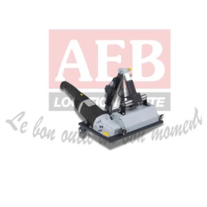 Rénovateur à brosse
