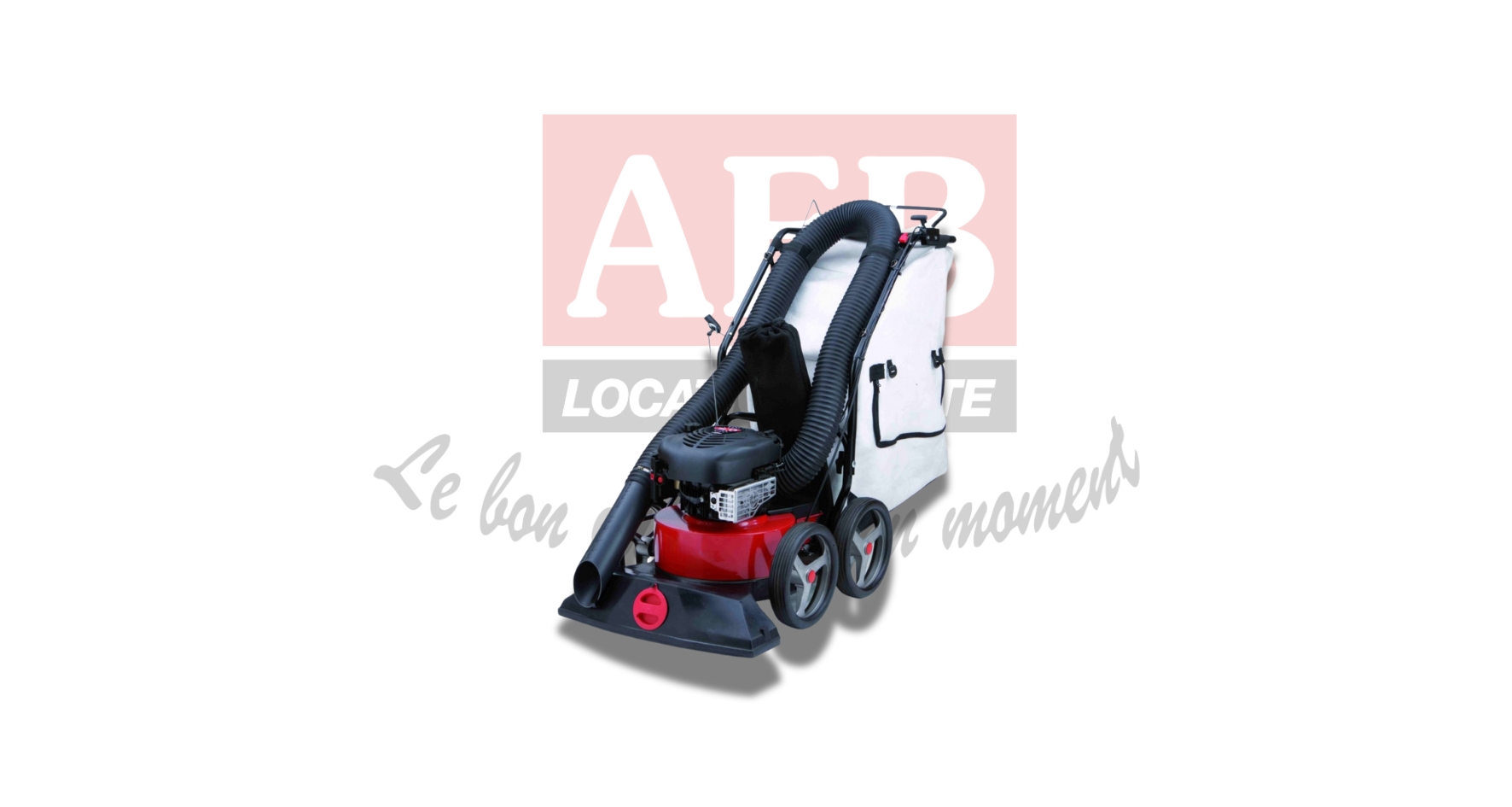 Aspirateur broyeur