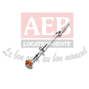 Taille haie sur perche